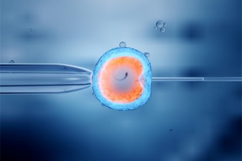 http://www.dzni.cn/post/208.html|新闻中心